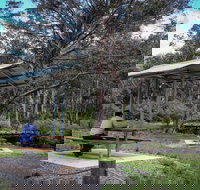 Barrington Tops State Forest - Accommodation VIC