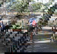 Bidgee Riverside Trail  - Hay Nature Walk - Accommodation VIC