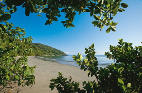 Cape Tribulation, Daintree National Park - Accommodation VIC 1