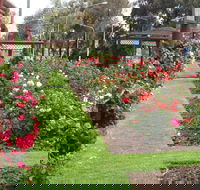 Cowra Rose Garden - Accommodation VIC