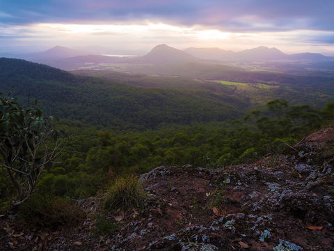 Cunninghams Gap And Spicers Gap, Main Range National Park - Accommodation VIC 0
