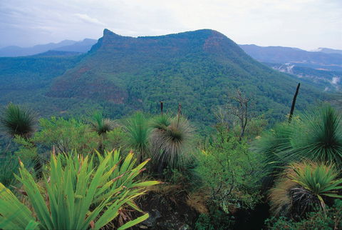 Cunninghams Gap And Spicers Gap, Main Range National Park - Accommodation VIC 1