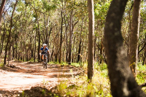 Davies Creek Mountain Bike Park - Accommodation VIC 1