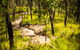 Davies Creek Mountain Bike Park - thumb 2
