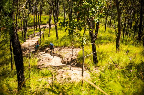 Davies Creek Mountain Bike Park - Accommodation VIC 2