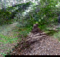 Double Wharf Trail - Accommodation VIC