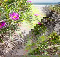 Fort Bribie - Accommodation VIC
