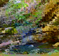 Glimpse of the Outback 5 Day Tour - Roma and Surrounds - Accommodation VIC