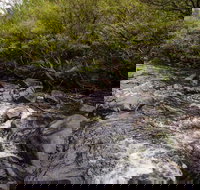 Gloucester River walking track - Accommodation VIC