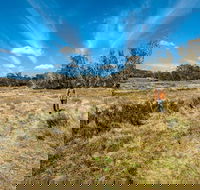 Goldseekers track - Accommodation VIC