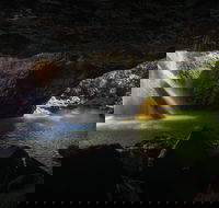 Gondwana Rainforests of Australia World Heritage Area - Accommodation VIC