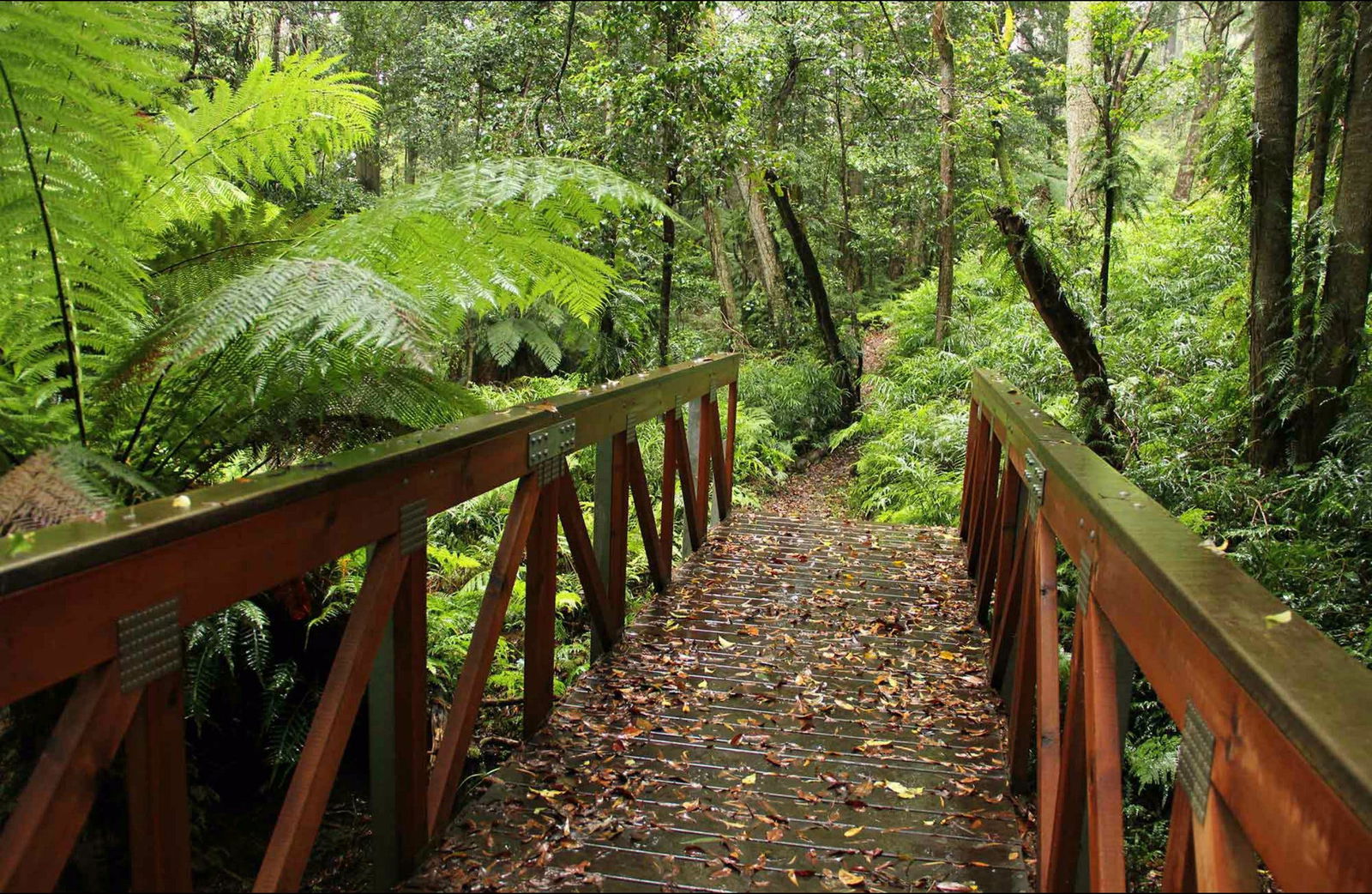 South Wolumla NSW Accommodation VIC