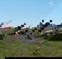 Jim Salmon  Wetland Education Site - Accommodation VIC