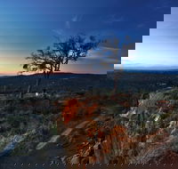 Kalamunda National Park - Accommodation VIC