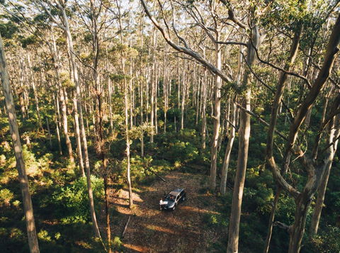 Leeuwin-Naturaliste National Park - Cowaramup - Accommodation VIC 0