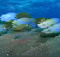 Lodestone Reef - Accommodation VIC