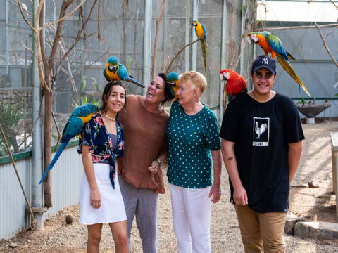 Maleny Botanic Gardens And Bird World - Accommodation VIC 0