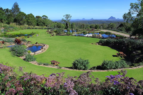 Maleny Botanic Gardens And Bird World - Accommodation VIC 2
