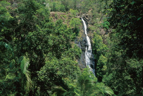 Mapleton Falls National Park - Accommodation VIC 0
