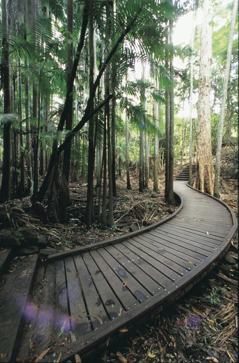 Mapleton Falls National Park - Accommodation VIC 1