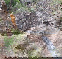 Mill-bullah Walking Track - Accommodation VIC