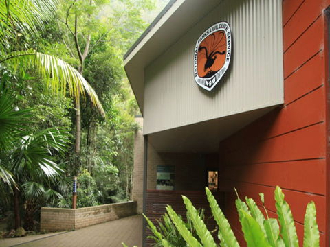 Minnamurra Rainforest Centre: Budderoo National Park - Accommodation VIC 0