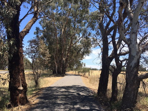 Mokoan Discovery Trail - Accommodation VIC 1