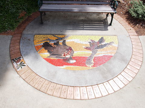 Mosaic Pathway (WASS) - Accommodation VIC 2