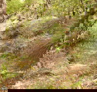 Mount Carnarvon Walking Track - Accommodation VIC