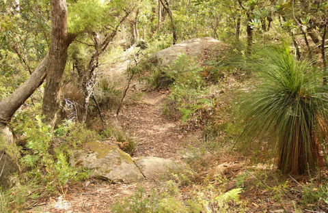 Mount Carnarvon Walking Track - Accommodation VIC 0