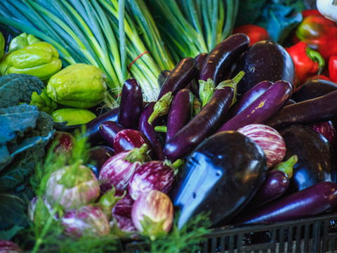 Murwillumbah Farmers' Market - Accommodation VIC 1