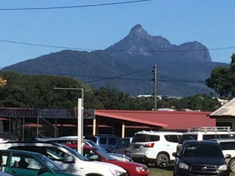 Murwillumbah Farmers' Market - Accommodation VIC 2