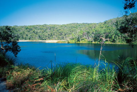 Naree Budjong Djara National Park - Accommodation VIC 1