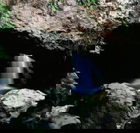 Natural Bridge Circuit Springbrook National Park - Accommodation VIC