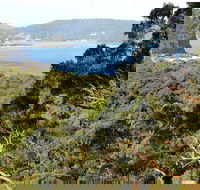 Patonga to Pearl Beach Walking Track - Accommodation VIC