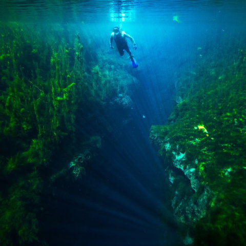 Piccaninnie Ponds Conservation Park - Accommodation VIC 0