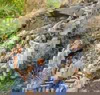 Queens Park Waterfall - Accommodation VIC