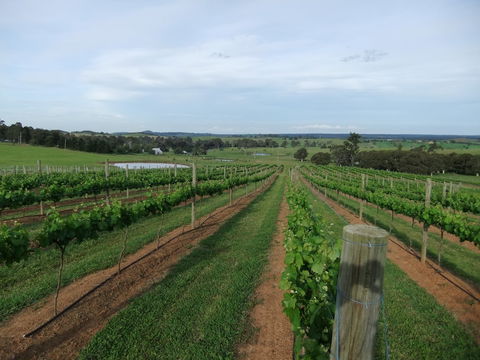 Razorback, Cawdor, Camden Park - Accommodation VIC 0