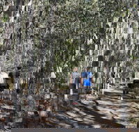 Six Mile Creek Bluff Lookout and Little White Rock Trails - Accommodation VIC