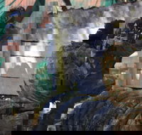 Skirmish Sunshine Coast Outdoor Paintball - Accommodation VIC