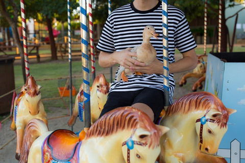 Swan Valley Cuddly Animal Farm - Accommodation VIC 2