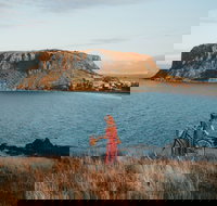 The Nut - Accommodation VIC