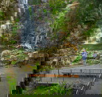 The Falls Walk Budderoo National Park - Accommodation VIC
