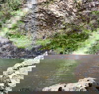 Twin Falls Circuit Springbrook National Park - Accommodation VIC