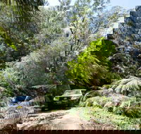 Wadbilliga Road drive - Accommodation VIC