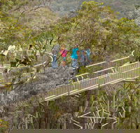 Walpole Wilderness Discovery Centre - Accommodation VIC