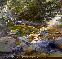 Washpool Walking Track - Accommodation VIC