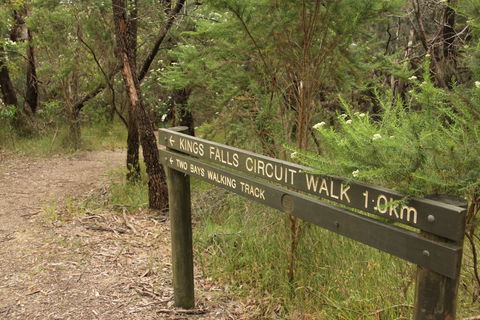 Waterfall Gully - Kings Falls Circuit Walk - Accommodation VIC 0