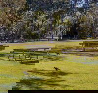 Wombeyan picnic area - Accommodation VIC