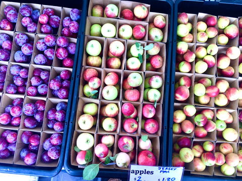 Adelaide Showground Farmers' Market - Accommodation VIC 0